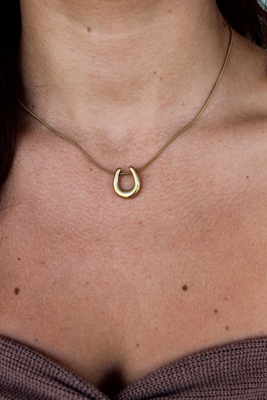 Horseshoe Necklace