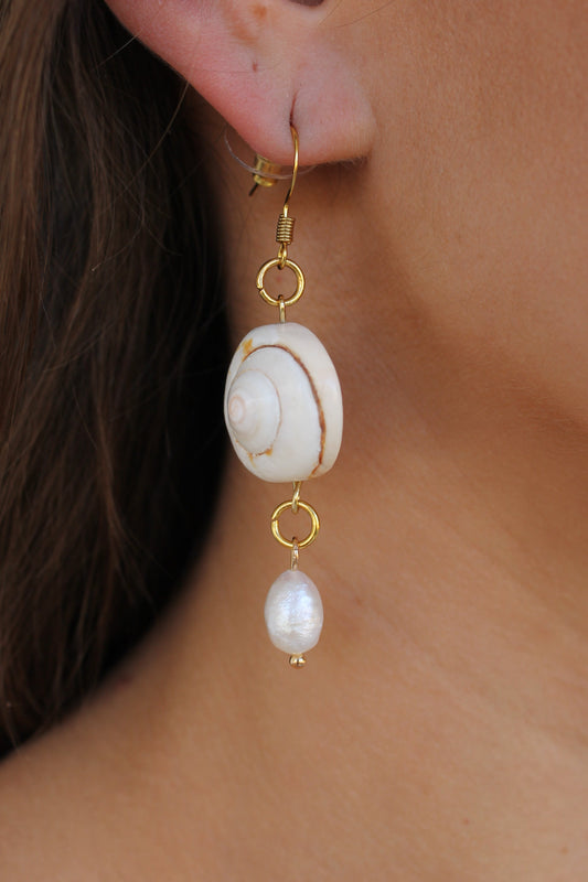 Spiral Shell Earrings