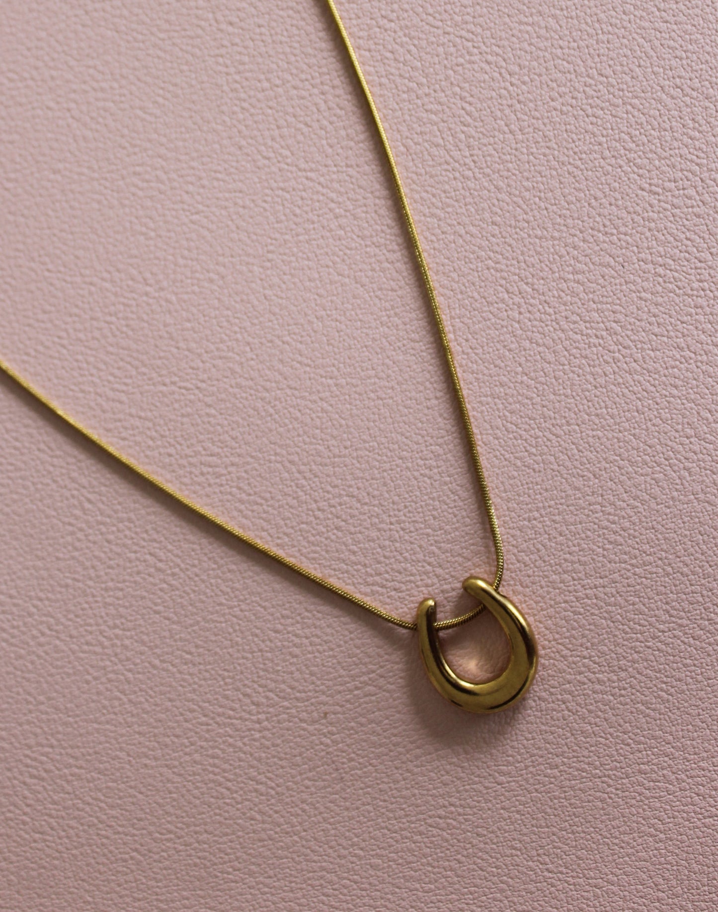 Horseshoe Necklace